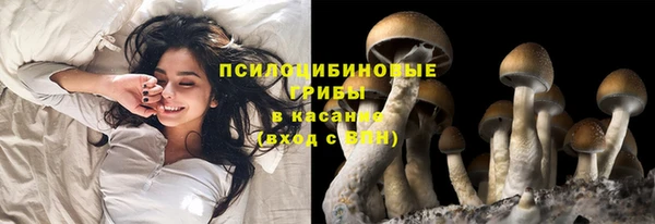 скорость Алексеевка