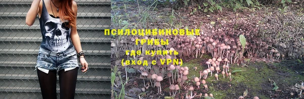 скорость Алексеевка