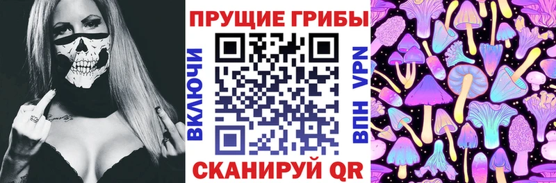 Галлюциногенные грибы прущие грибы  цены наркотик  Карачаевск 